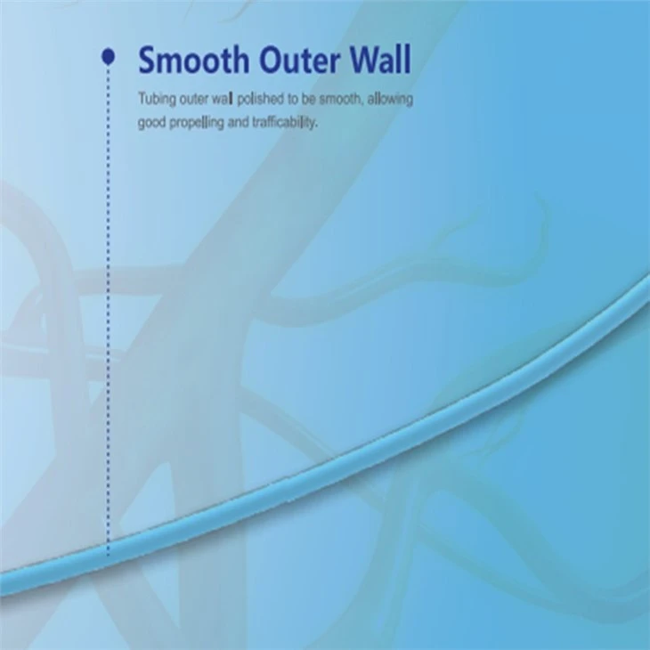 Endovascular Diagnostic Catheter